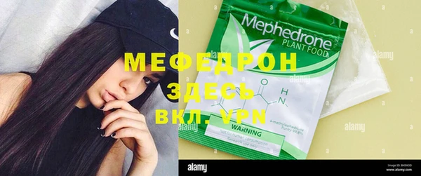 индика Нея