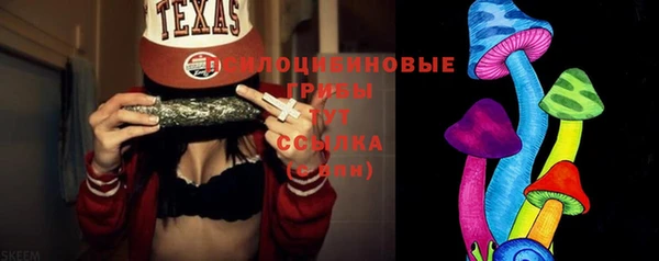 spice Алексин