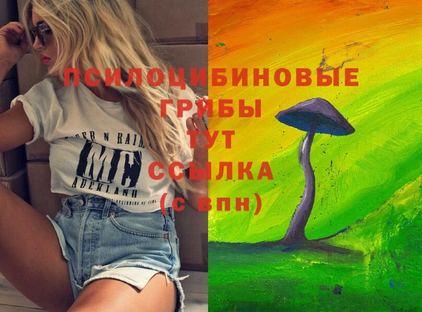 spice Алексин